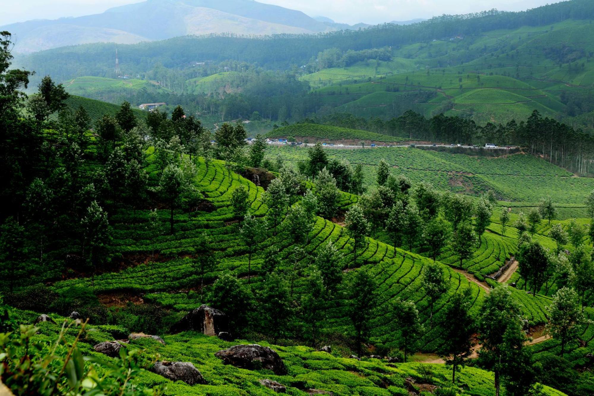 Mountain Club Resort Munnar Chinnakanal Extérieur photo
