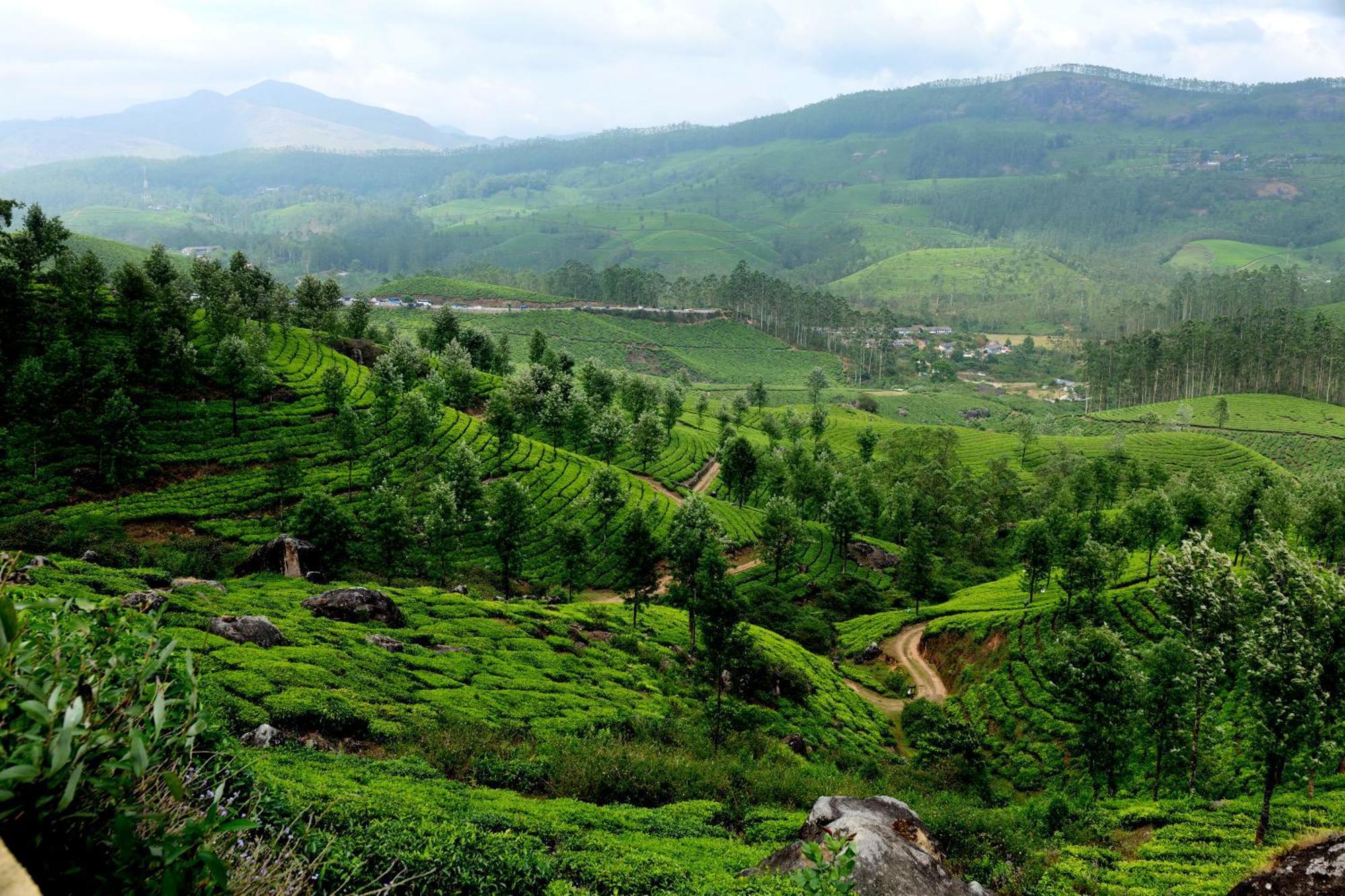 Mountain Club Resort Munnar Chinnakanal Extérieur photo